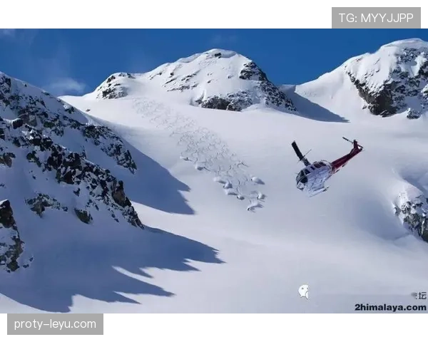 根特攻防体系日趋成熟，球队整体实力稳步提升引瞩目