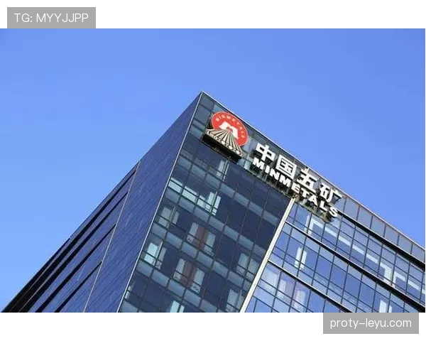 达姆斯高本赛季表现稳健，潜力持续提升