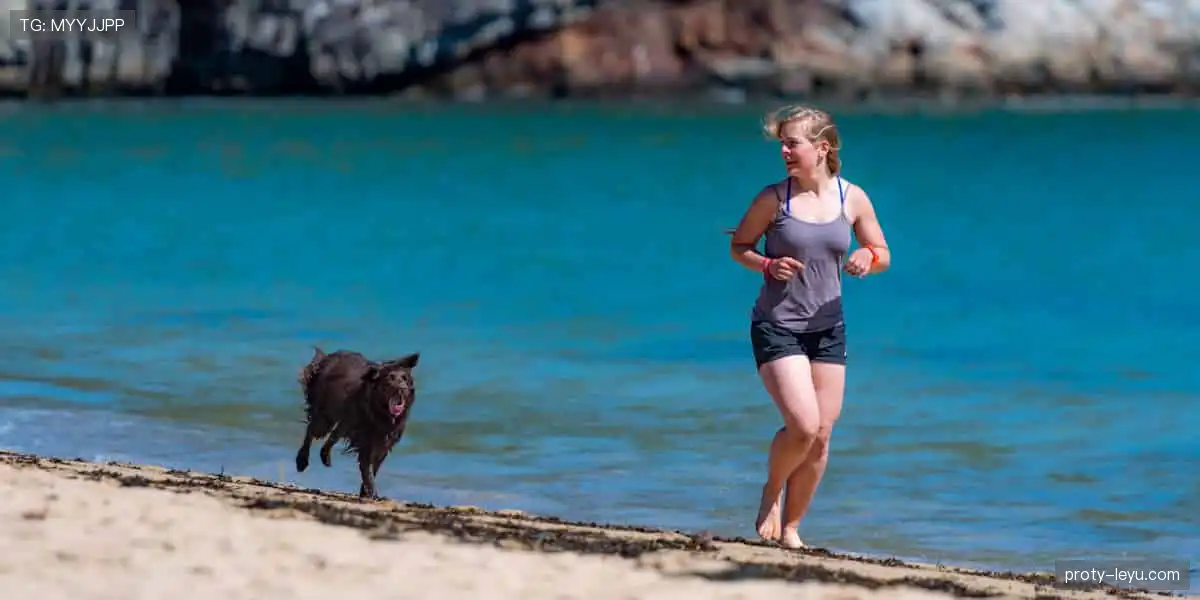 🎟️ 热门赛事门票,一键直达!🚀 席位有限,手慢无!